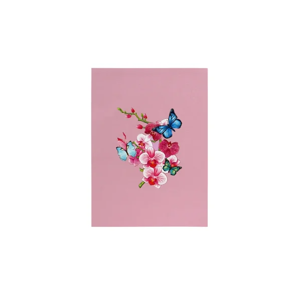3D Přání -  Orchidej