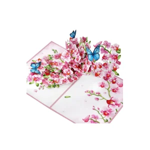 3D Přání -  Orchidej