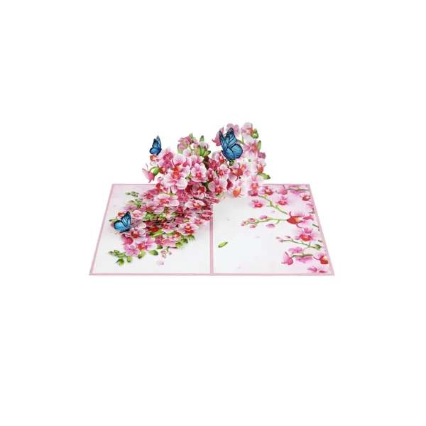 3D Přání -  Orchidej