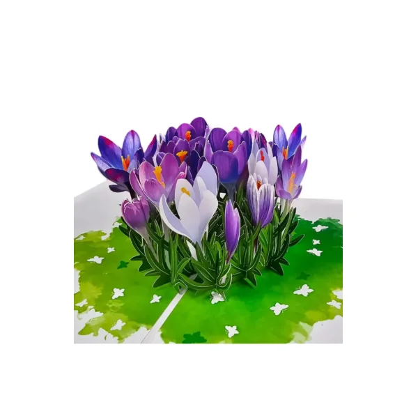 3D Přání -  Šafrán