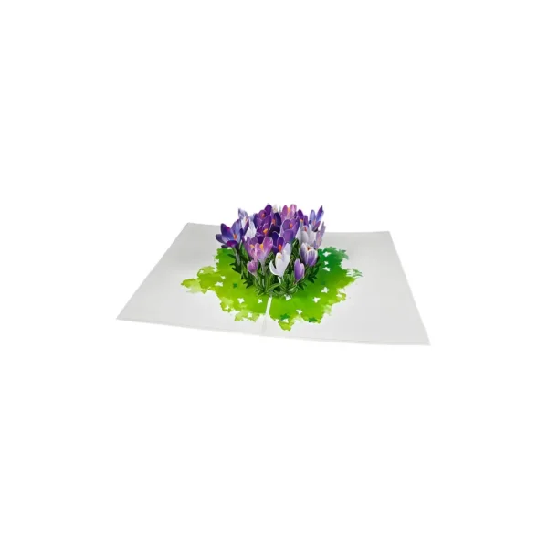 3D Přání -  Šafrán