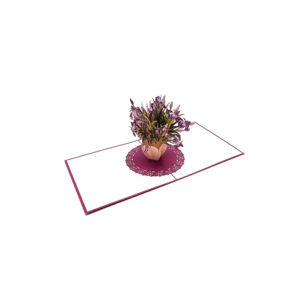 3D Přání - Iris