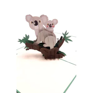 koala_detail.jpg 3D Přání - Koala