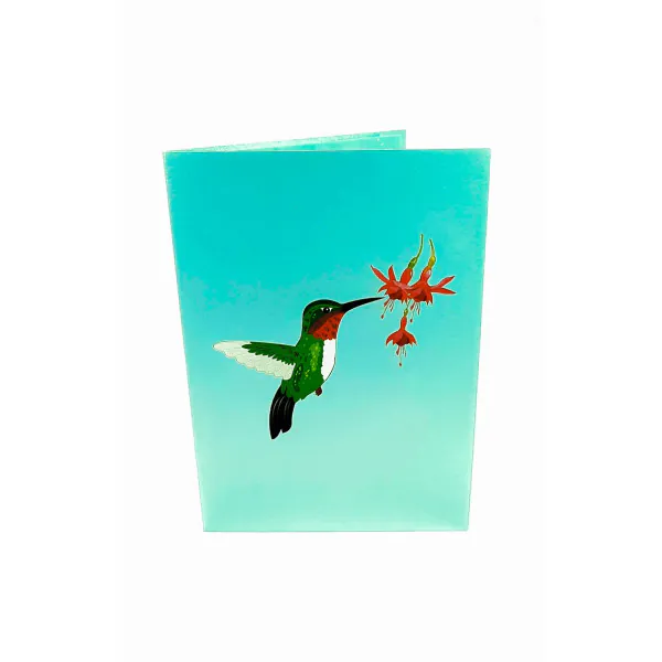 3D Přání -  Kolibřík a ibišek