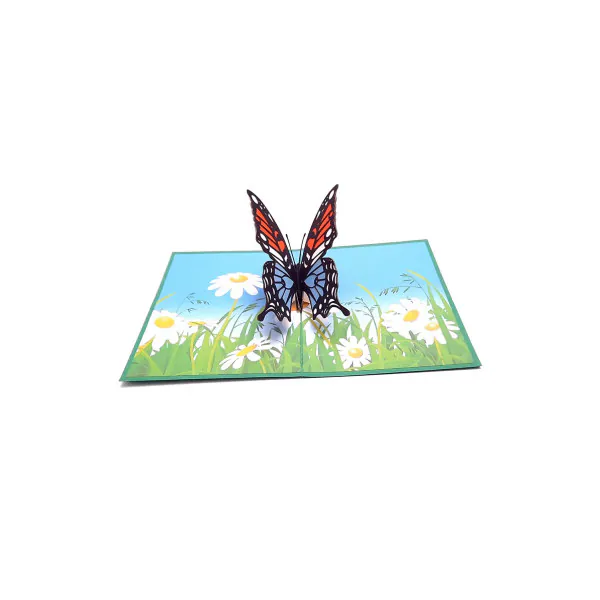 3D Přání - Motýl na louce