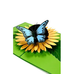 motyl_na_slunecnici_detail.jpg 3D Přání - Motýl na slunečnici