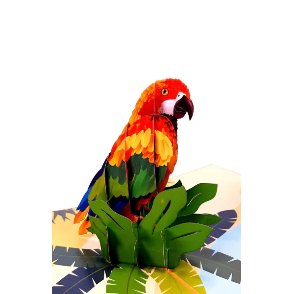 3D Přání -  Papoušek
