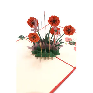 3D Přání - Vlčí Mák
